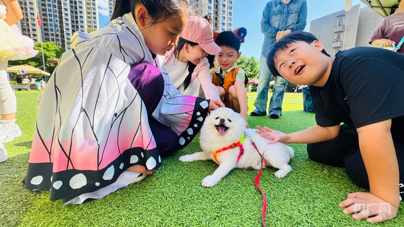 让萌宠遇见童心 北京市丰台区丽泽小学举办第二届宠物节 - 图1