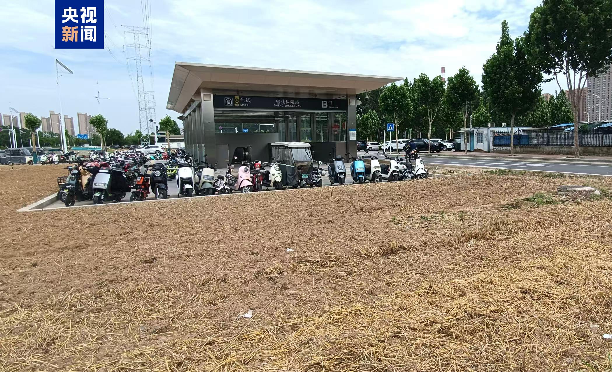 地铁站绿化带变身“麦田”？专家：需明晰空间规划定位 - 图1