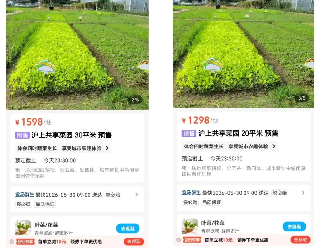 现实版 QQ 农场？盒马 App 可下单租地种菜，客服称小范围试点 - 图1