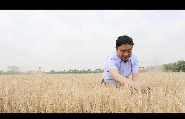 最美科技工作者徐淙祥：用汗水“书写”大地答卷 - 图2