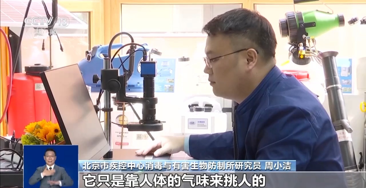 多地进入蚊媒活跃期 科学防蚊、灭蚊这样做→ - 图3