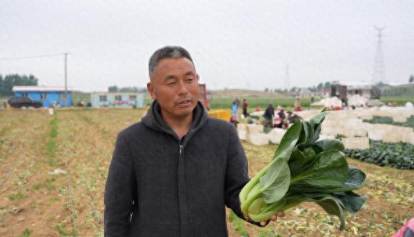 一肥六效，鲁花花生肽肥的化肥替代之路 - 图1