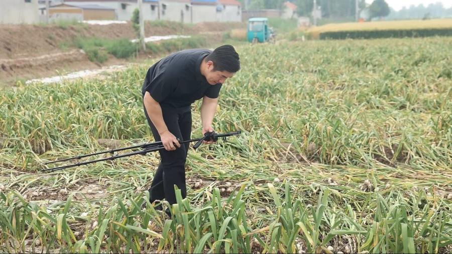 是真“香”！菏泽巨野90后蒜二代，一部手机将家乡大蒜“播”向全球 - 图2