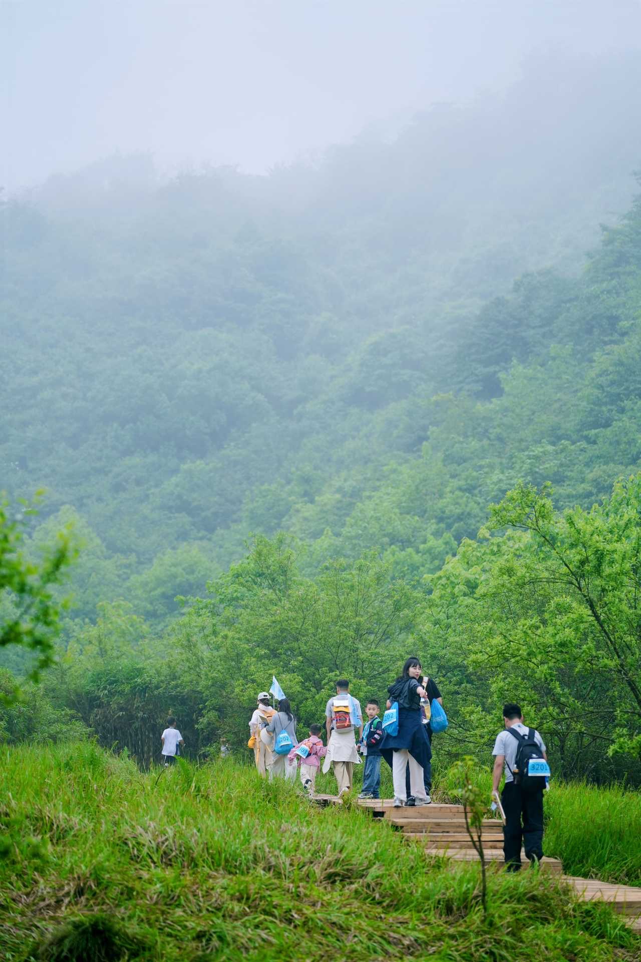 西岭雪山联合喇叭河启动“大绿季” 川西文旅探索生态融合发展新路径 - 图2