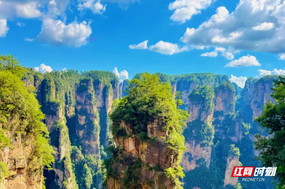 雾天寻仙问道 晴天勘探地貌 百变张家界尽显绝版风华 - 图2