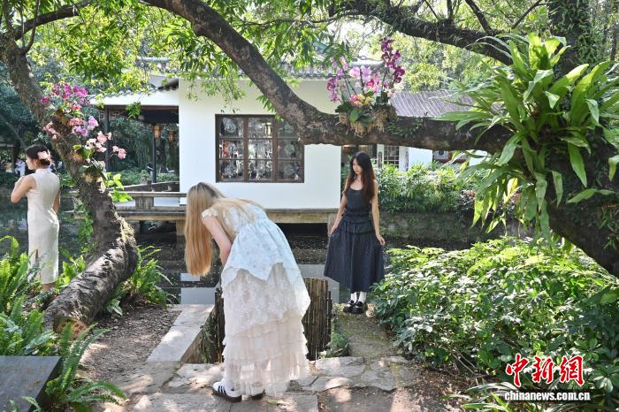 广州兰圃：岭南园林邂逅兰文化与中式美学 - 图1