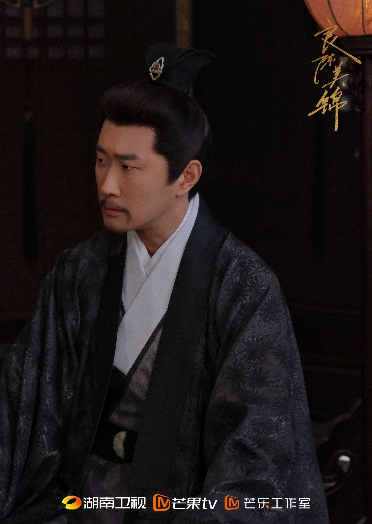 《良陈美锦》湖南卫视、芒果TV热播，黄吉演绎姚平成权谋亮点 - 图4