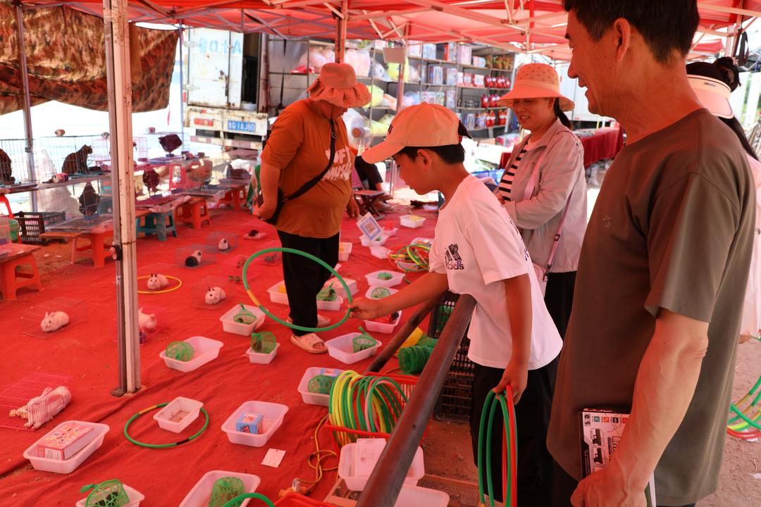 逛庙会，赴一场原汁原味的民俗盛宴 - 图3