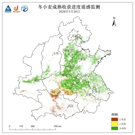 未来四天夏收区大部多晴好天气 利于加快机收进度 - 图1
