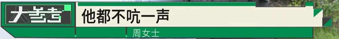 “感觉妈妈彻底走了！”女子20年老宅被亲戚擅装光伏板，母亲种的树全被砍 - 图6