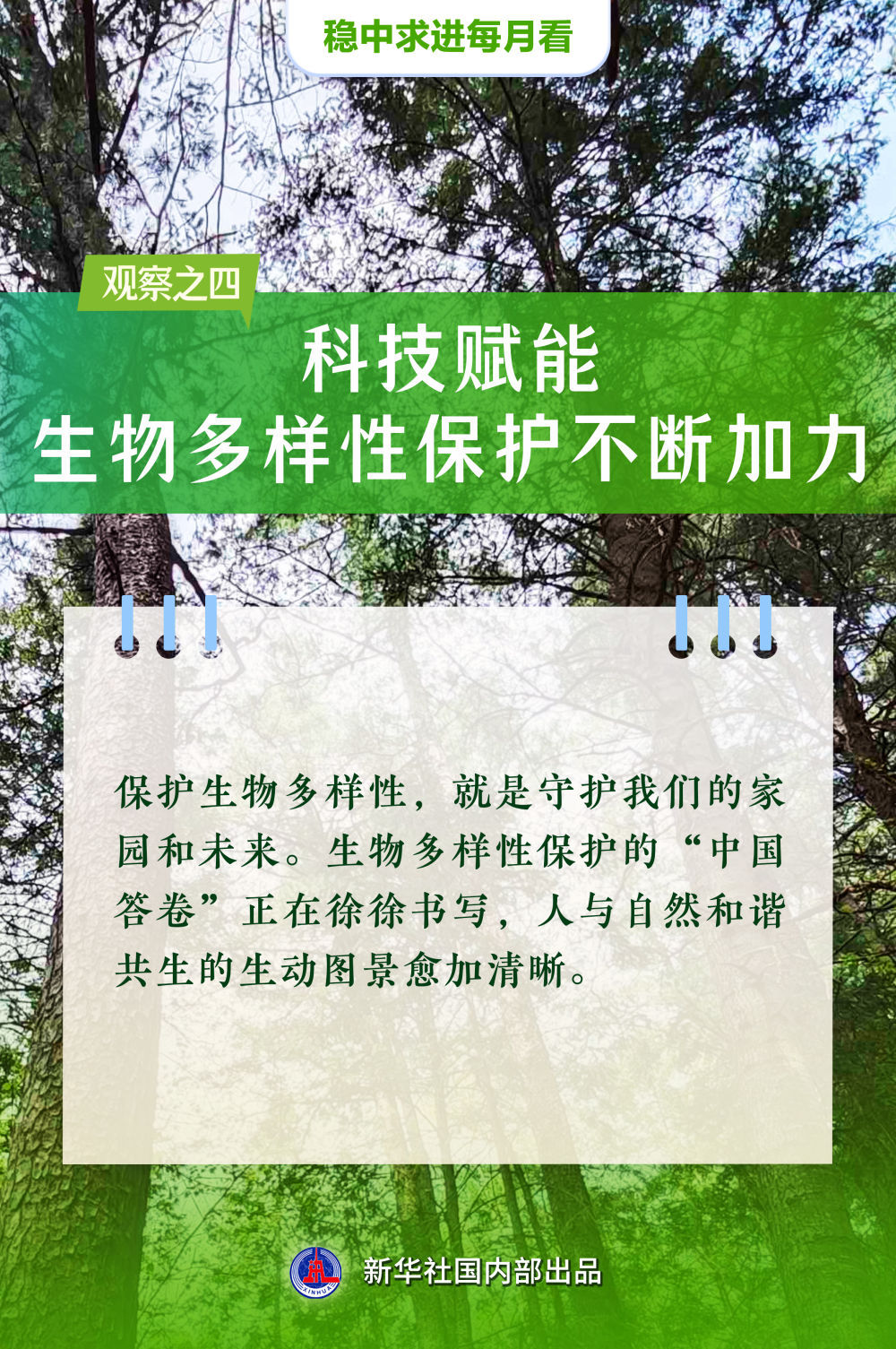 稳舵扬帆正当时——5月全国各地经济社会发展观察 - 图5