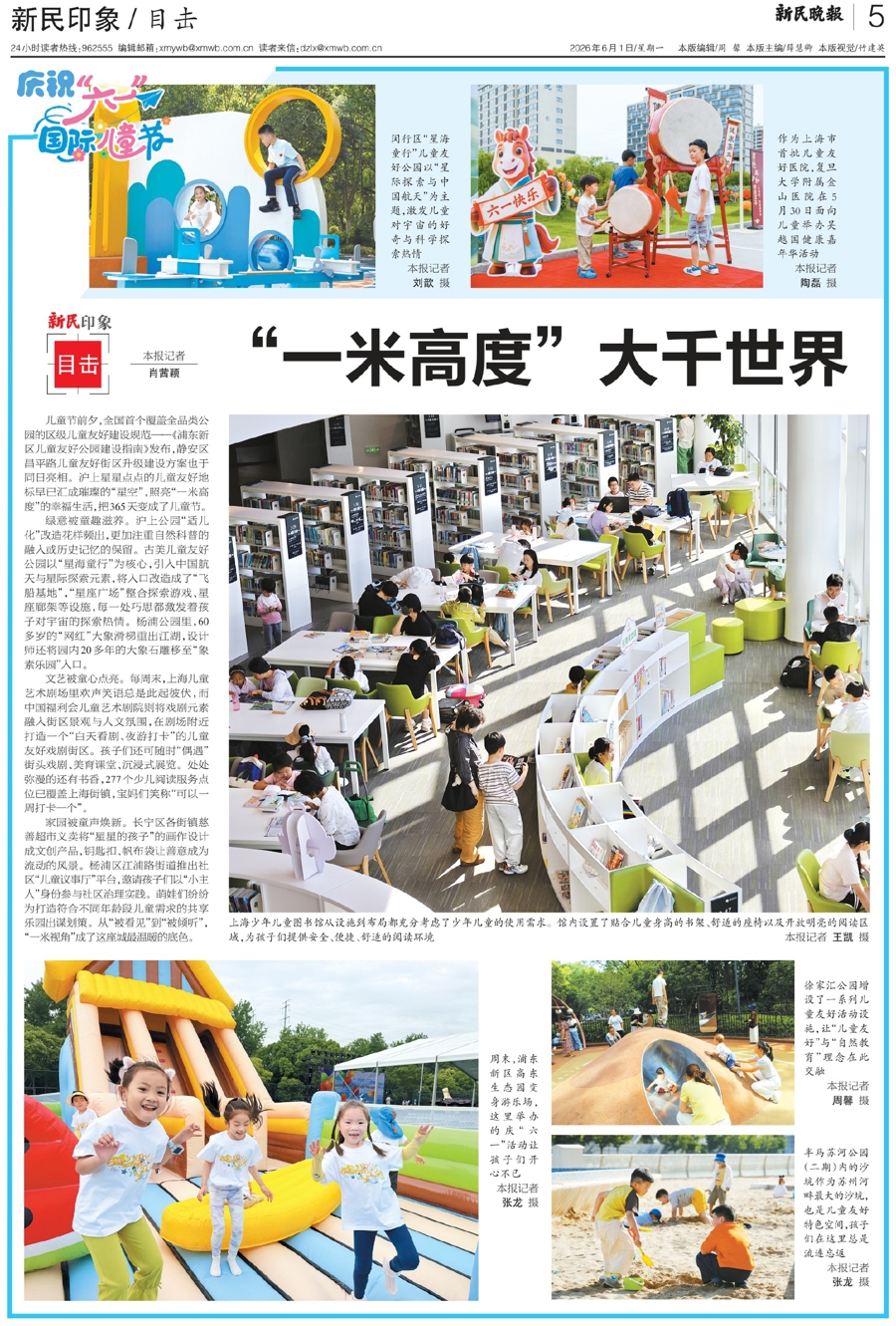新民目击｜“一米高度”大千世界 - 图7