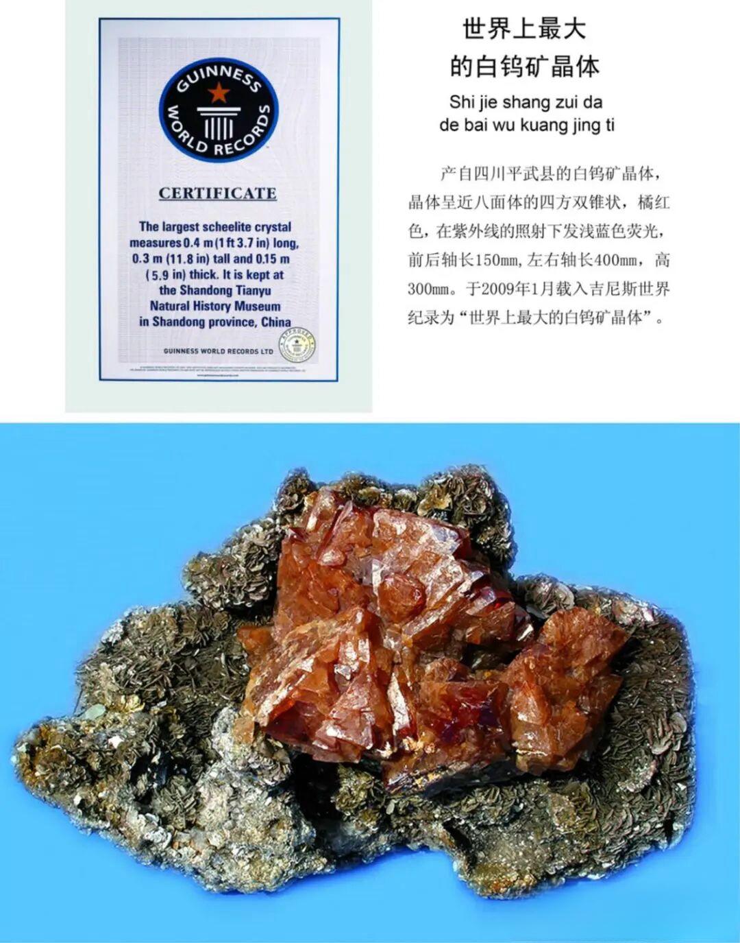 最山东｜天宇自然博物馆：世界最大的恐龙博物馆，揽获6项吉尼斯世界纪录 - 图4