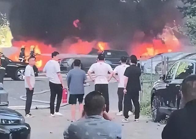 74岁男子点燃杨絮致20辆汽车被烧毁，原因披露 - 图1