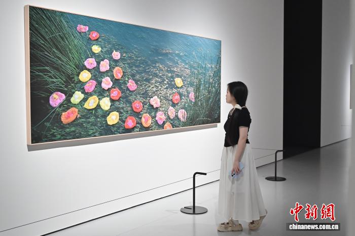 “风景与想象之间——意大利当代艺术在中国”展览开幕式在穗举行 - 图4