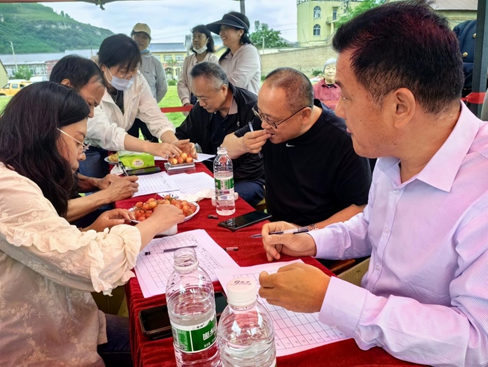 直播网红村｜临沂王庄樱桃红了！这场直播带你细品老区“甜”日子 - 图7