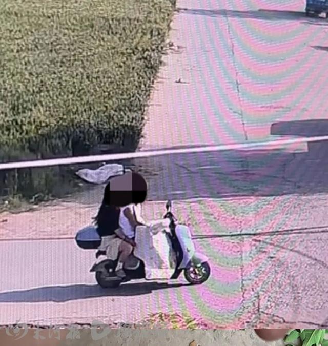 百万粉丝网红边牧“锄头”疑被偷走宰杀，警方已立案 - 图2