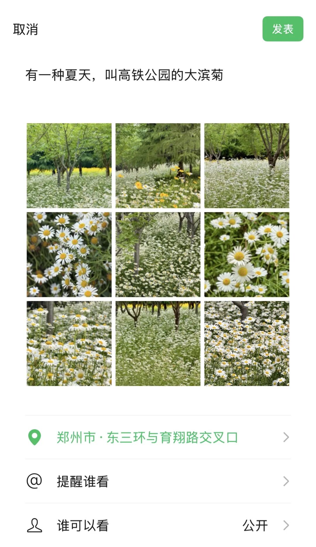 赏花地图！郑州东区“初夏限定朋友圈”来了 - 图4
