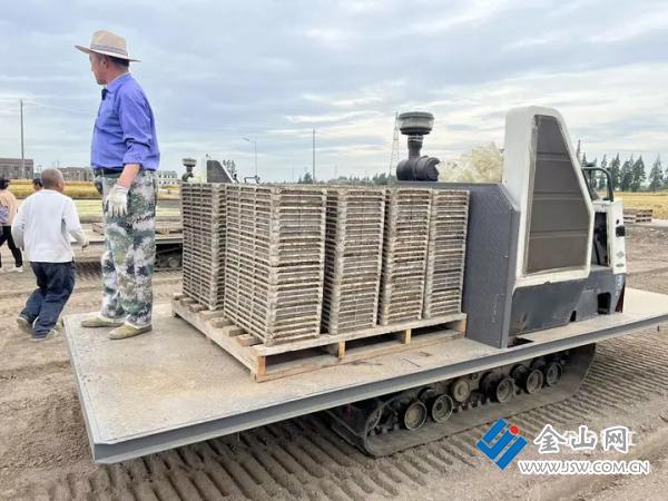江苏镇江：硬核科技加持育秧渐近智能“新农人”解锁水稻育秧新模式 - 图2