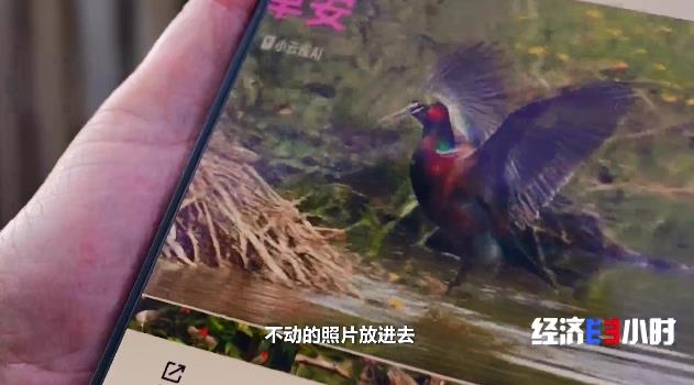 乐活摄影师、商场体验官……银发族解锁“老有所为”新舞台 - 图16