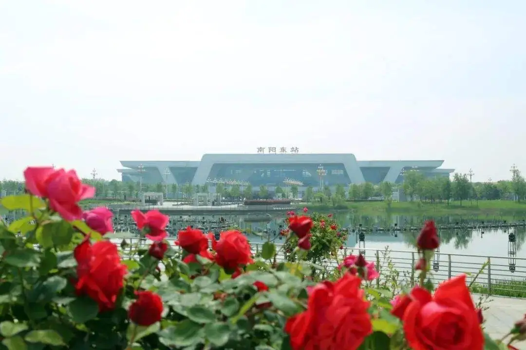 我的铁路风景｜拥抱旅途中的自在闲暇 - 图2