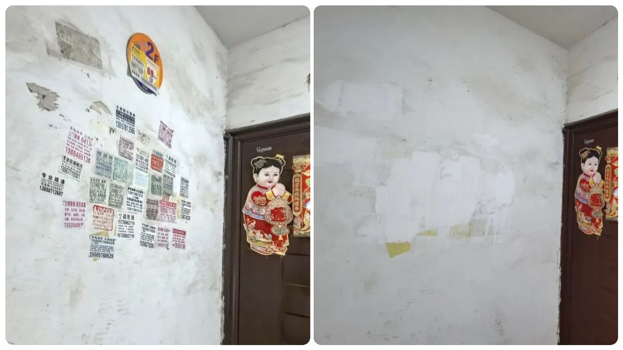 浙江苍南：于细微处落笔，为文明作注 - 图6