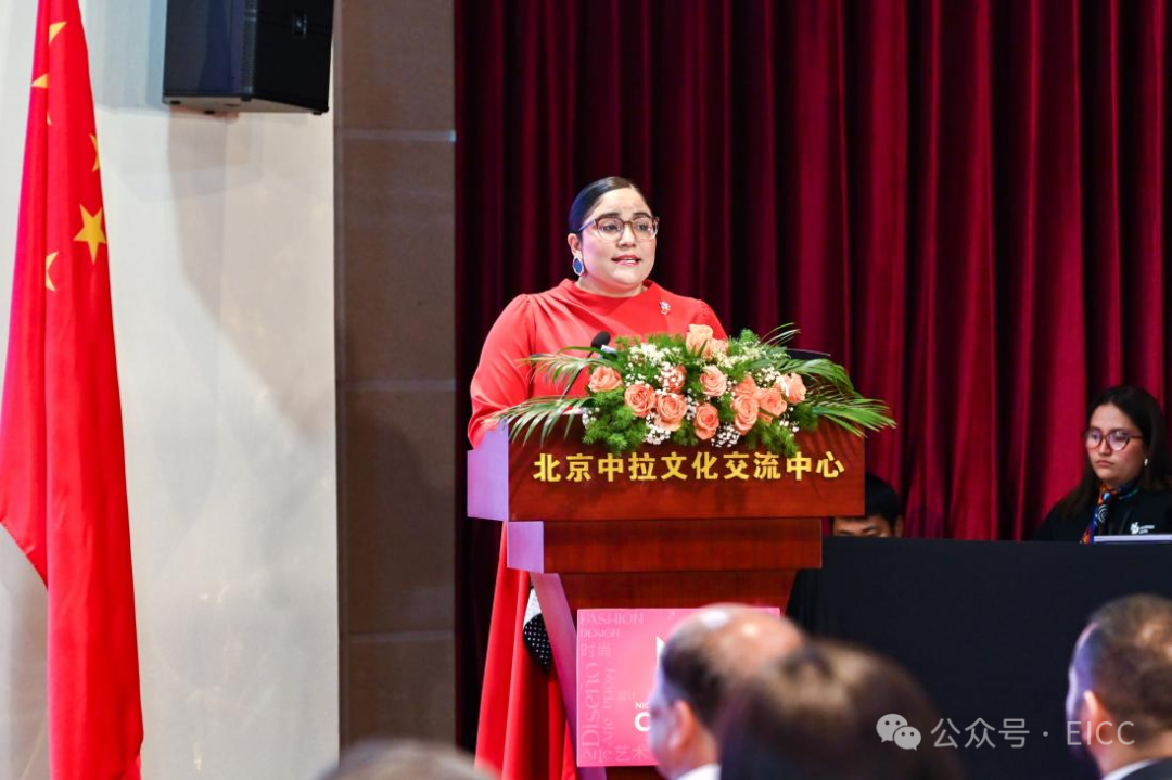 “2026首届尼加拉瓜设计中国行”在中拉文化交流中心圆满落幕 - 图4