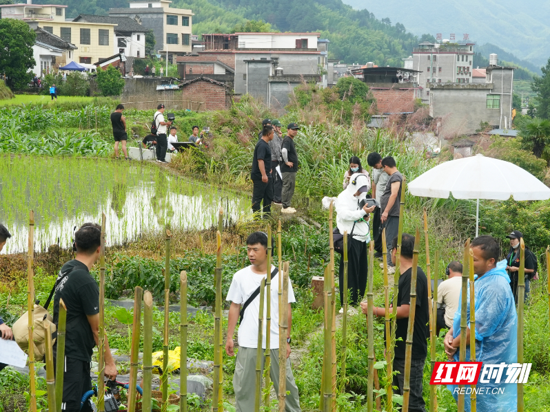 电影《无·声》取景郴州多地 光影呈现江梦南励志故事与城市风貌 - 图2