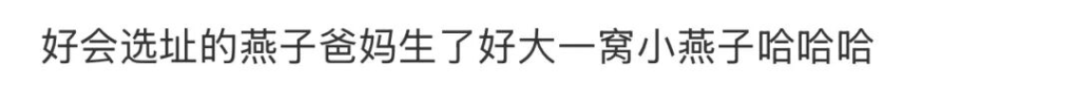 “本人于2026年5月种出了番茄，望周知” - 图26