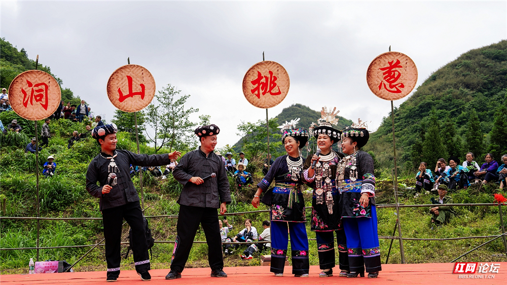 「每日一图@湖南」湘西保靖“挑葱会”，把野葱与苗歌当定情物 - 图7