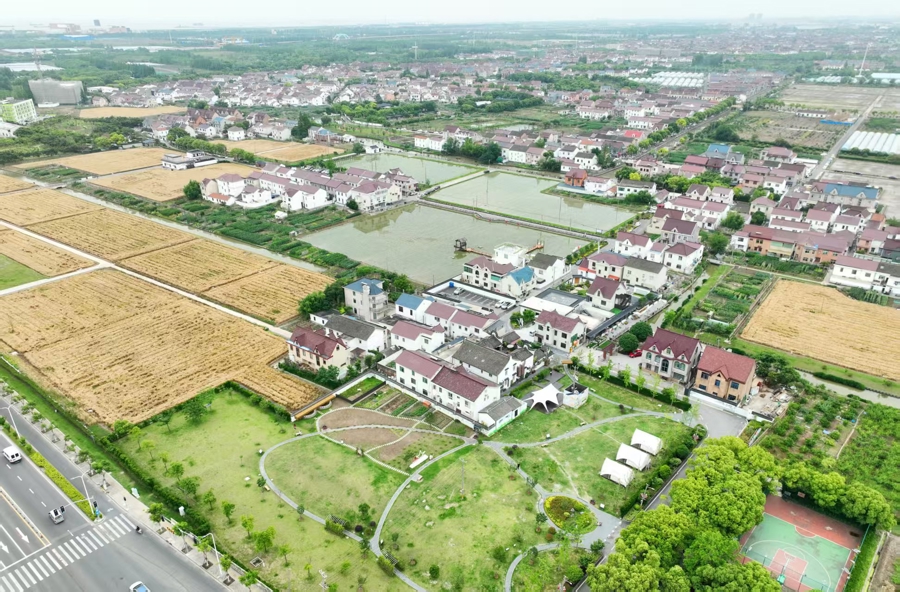 去有风的地方乐活乐业，曹路群乐村探索城乡融合发展新路子｜申观察 - 图6