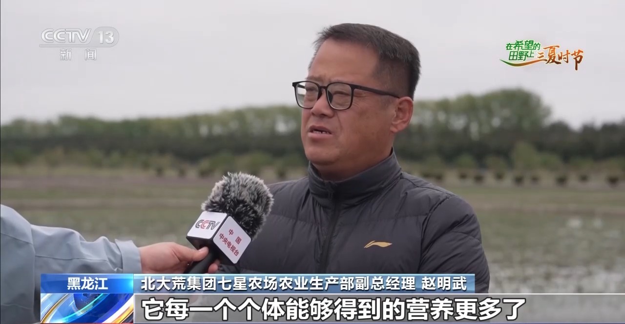 良法良种良机 寒地水稻增产新招让“不可能”成为现实 - 图6