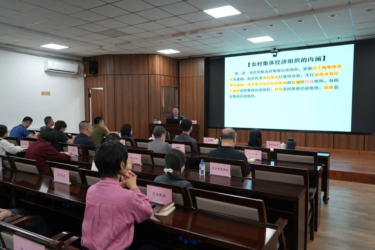 双阳法院：专家领航 深度解读《农村集体经济组织法》 - 图2