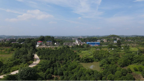 邵阳市大祥区绘就和美乡村振兴新画卷 - 图1
