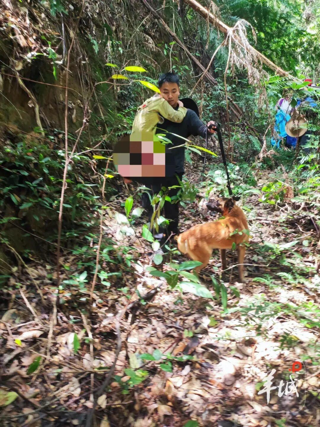 “肇庆男童深山走失13天”救援细节：采药村民发现男孩的裤子；男孩或靠野果生存，获救后紧紧搂住救援者脖子 - 图4