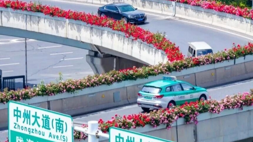 政绩有“有效期”吗？能持续多久？丨豫观察 - 图4
