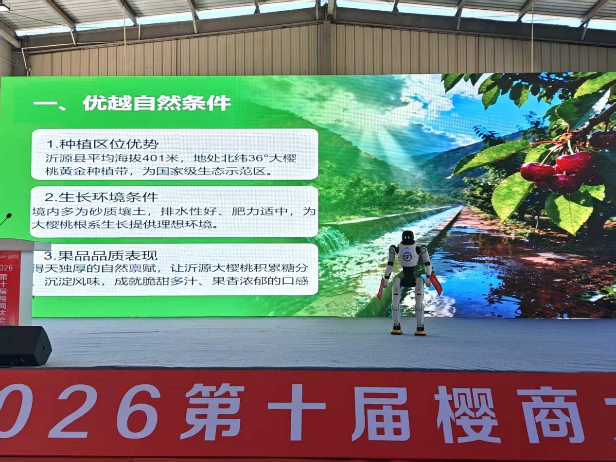 以会为媒聚樱商 锚定设施栽培新赛道 - 图2