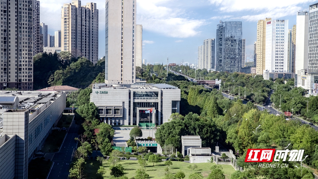 千金药业数智化转型：AI时代下的传统药企破局 - 图1