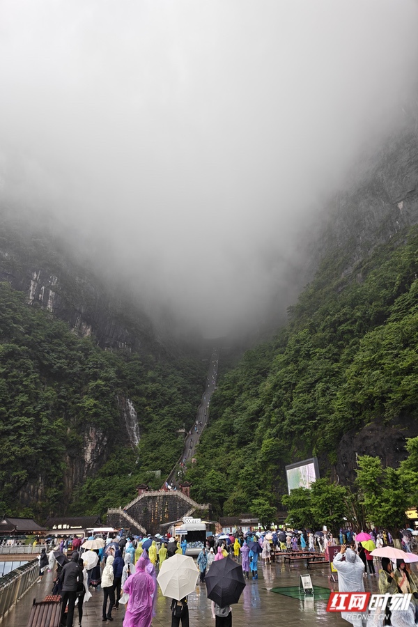 寻美大张家界③丨登天门探峰林，达人在张家界云端入画 - 图4