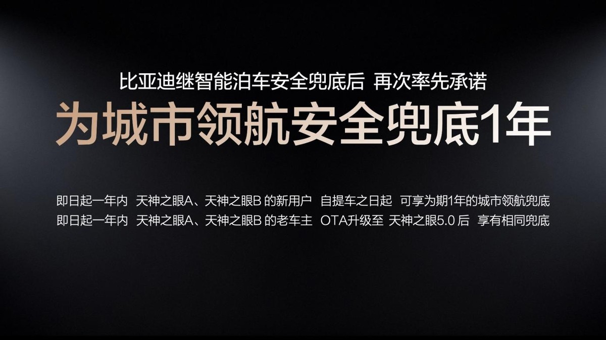 比亚迪：为城市领航安全兜底、发布中国首款4nm智驾芯片 - 图4