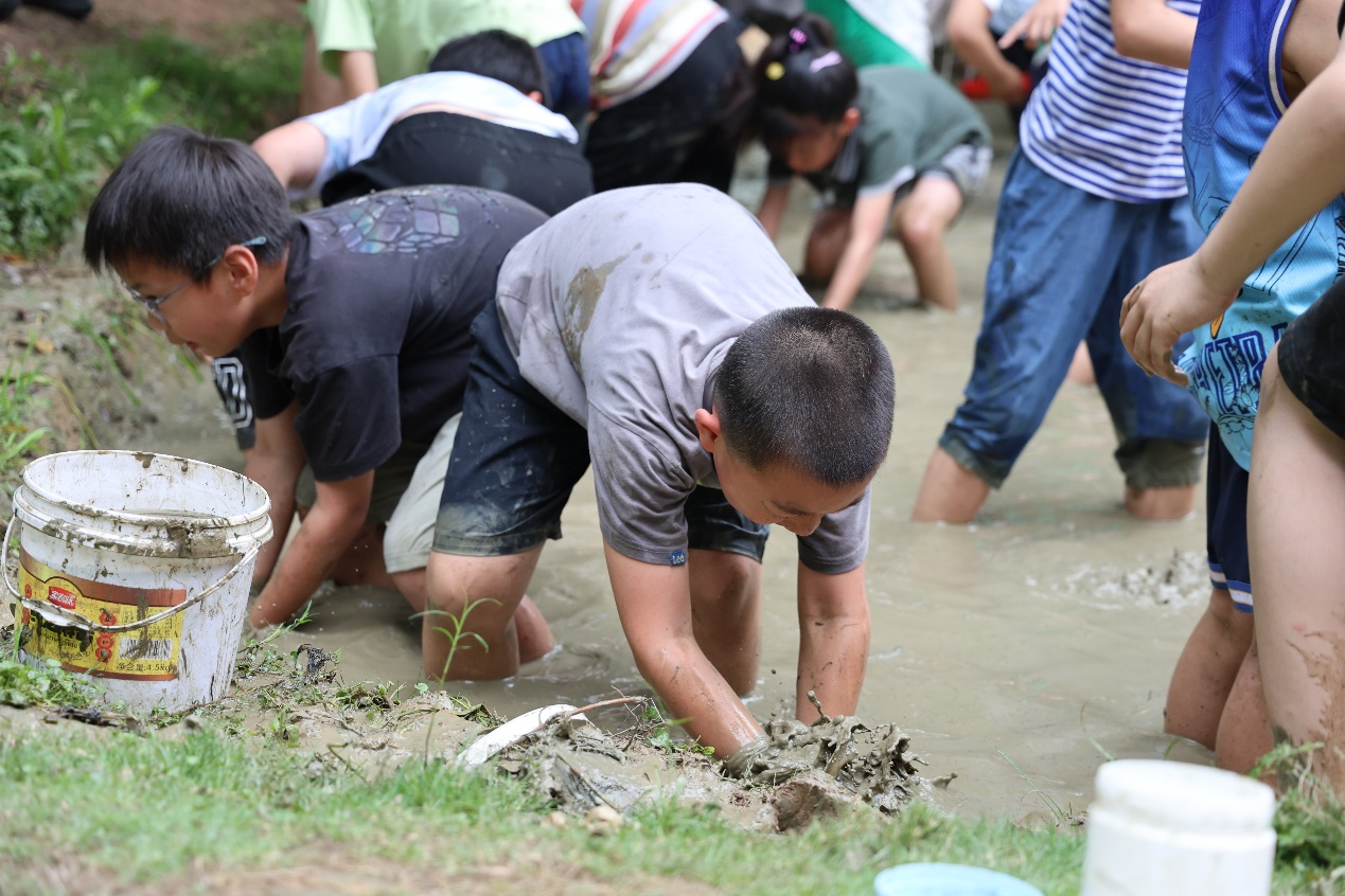 池塘水满捉泥鳅 这所小学的池塘成最嗨游乐场 - 图4