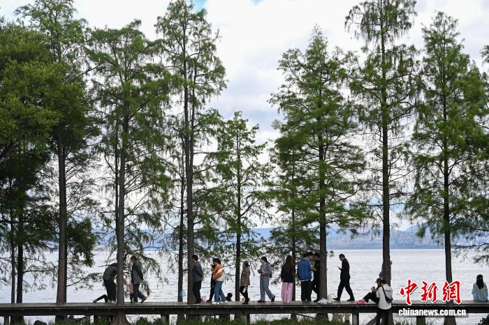 200余名中外嘉宾大理洱海畔共谋绿色治理良策 - 图1