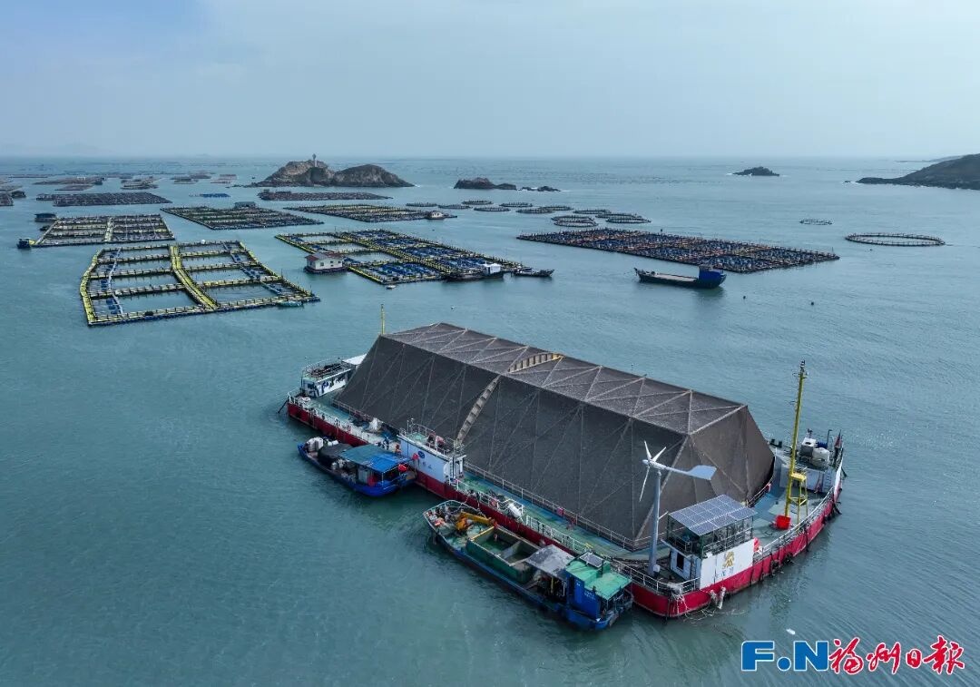 连续六年全省优秀！福州乡村振兴交出高分答卷 - 图3