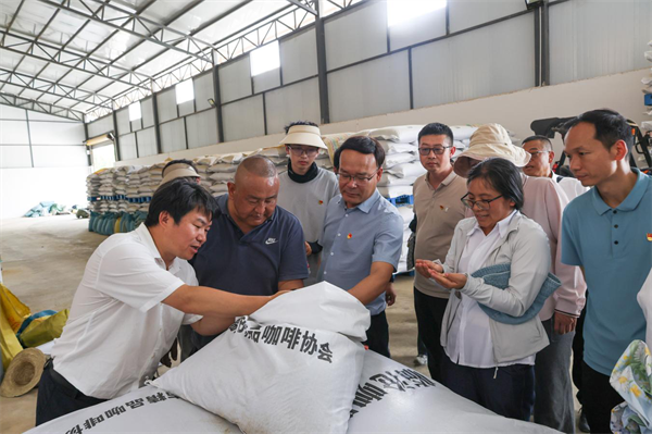 一线研学攻难关滇西科技师范学院科创助力临沧咖啡产业高质量发展 - 图2