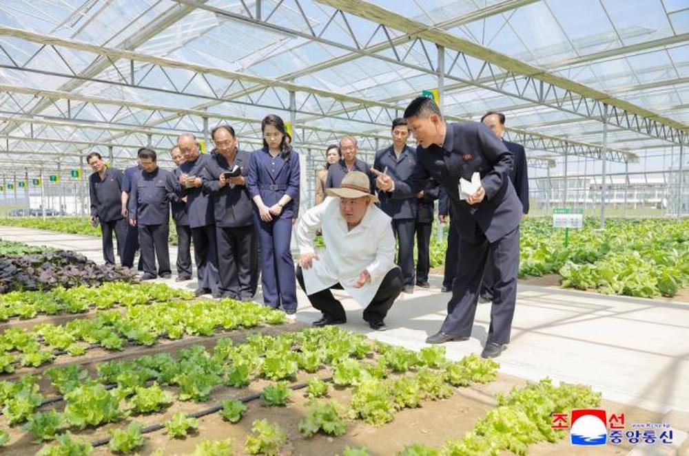 金正恩携女儿视察温室农场 - 图3
