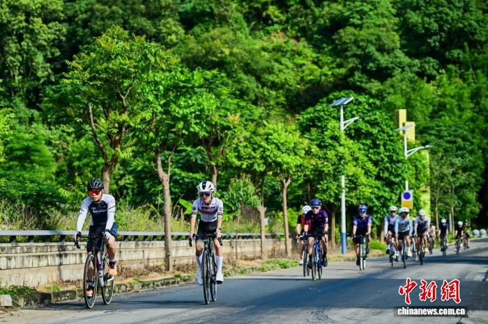 近500名粤港澳大湾区骑行爱好者“骑”聚广州从化 - 图1