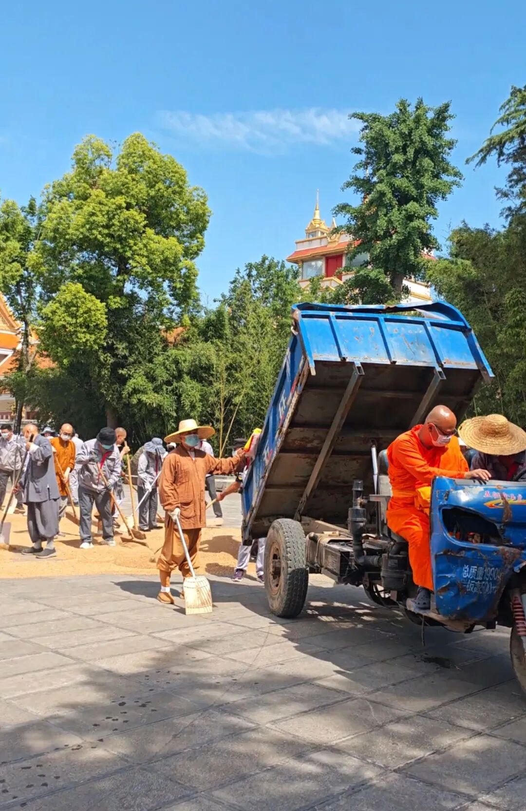 洛阳白马寺僧人顶着33℃气温收麦子晾晒，游客称还有义工和泰国僧人帮忙，景 - 图1