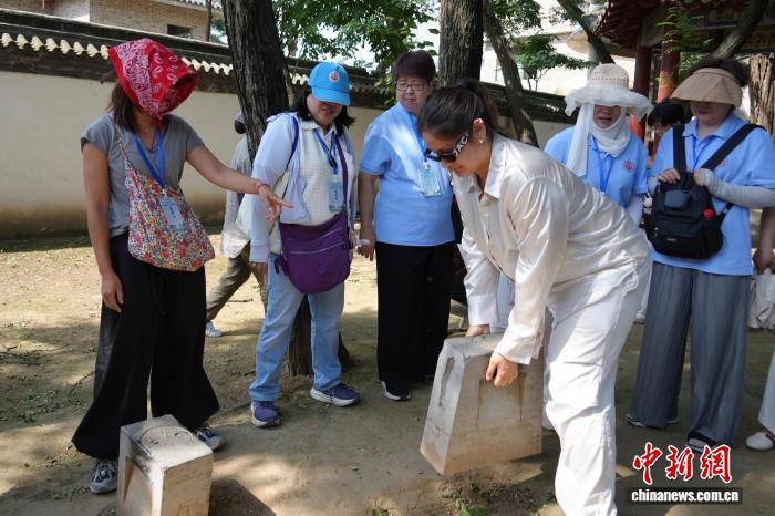 20余位海外华教从业者河南温县习练太极拳 - 图4