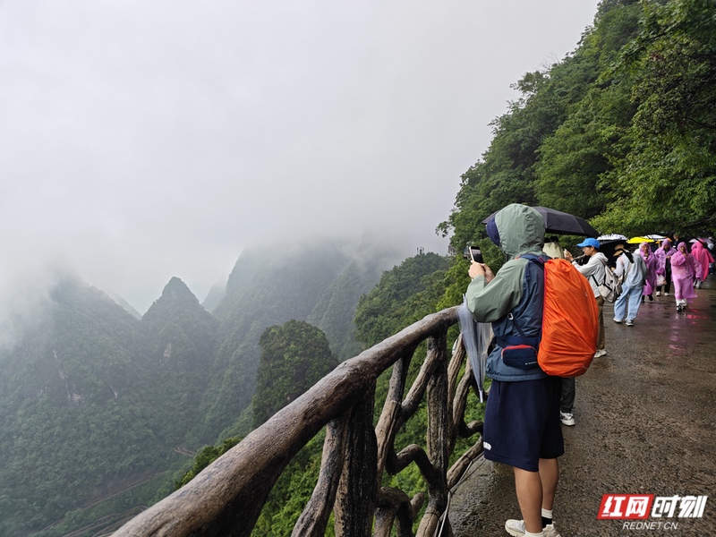 寻美大张家界③丨登天门探峰林，达人在张家界云端入画 - 图3
