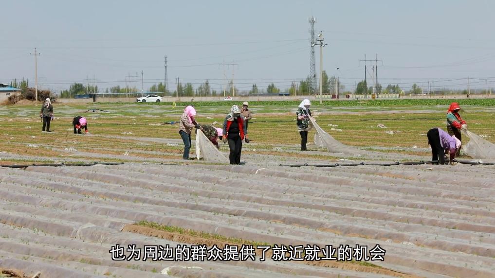 新华视点｜深耕特色富民产业 激活乡村振兴发展新动能 - 图2